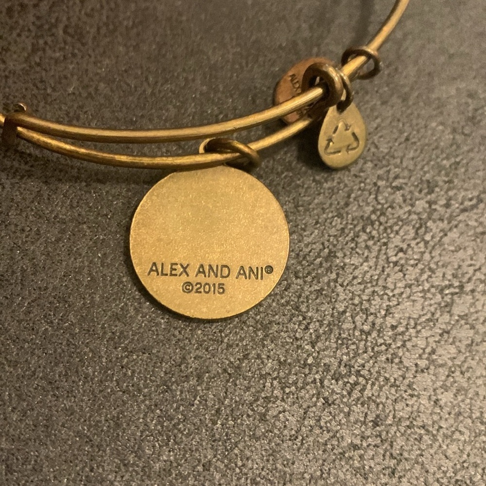 Alex and Ani + Energy Path of Life Infinity Bangle Bracelet - Picture 4 of 5